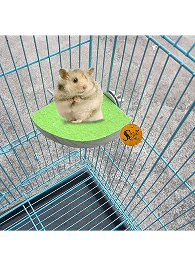 Sage Square Natural Wood Platform Of Sand For Healthy Nail & Teeth Trimming Of Hamster, Sugar Glider, Hedgehog, Gerbil, Rat, Mice (9 Inches) - Image 1