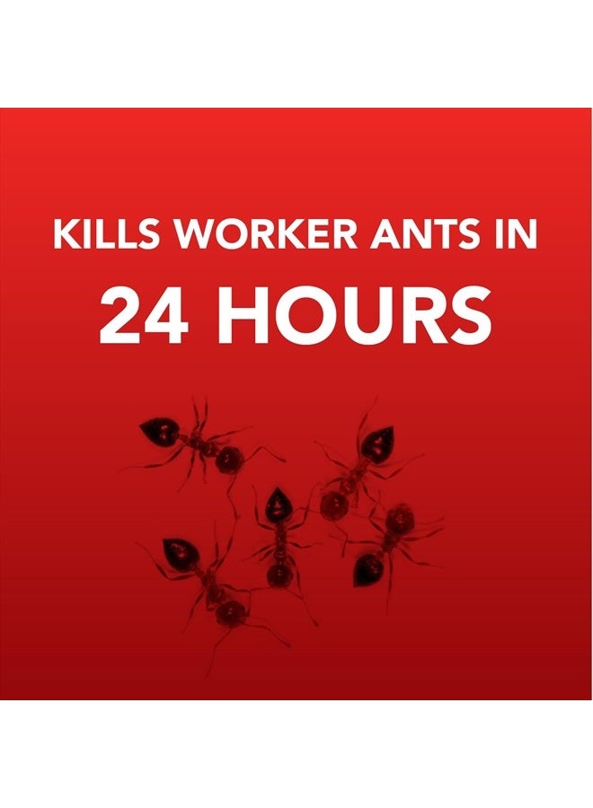 Ortho محطات الطعم المعدنية الداخلية/الخارجية 4PK للدفاع عن المنزل - Image 5