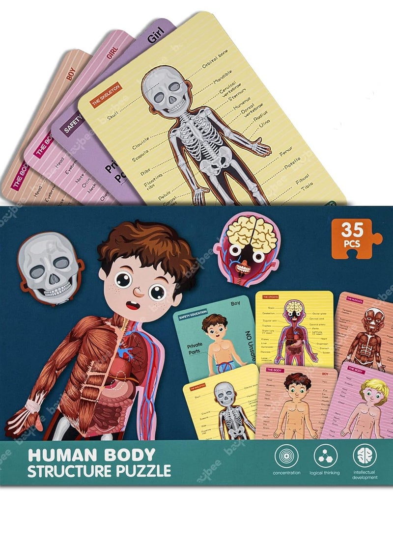 BAYBEE Baybee Kids Early Educational Learning Toys Human Body Parts Organs Model Jigsaw Puzzle Set Kids / Children Toys - Science Toys for Boys Girls Preschool Learning Toys  - Image 1