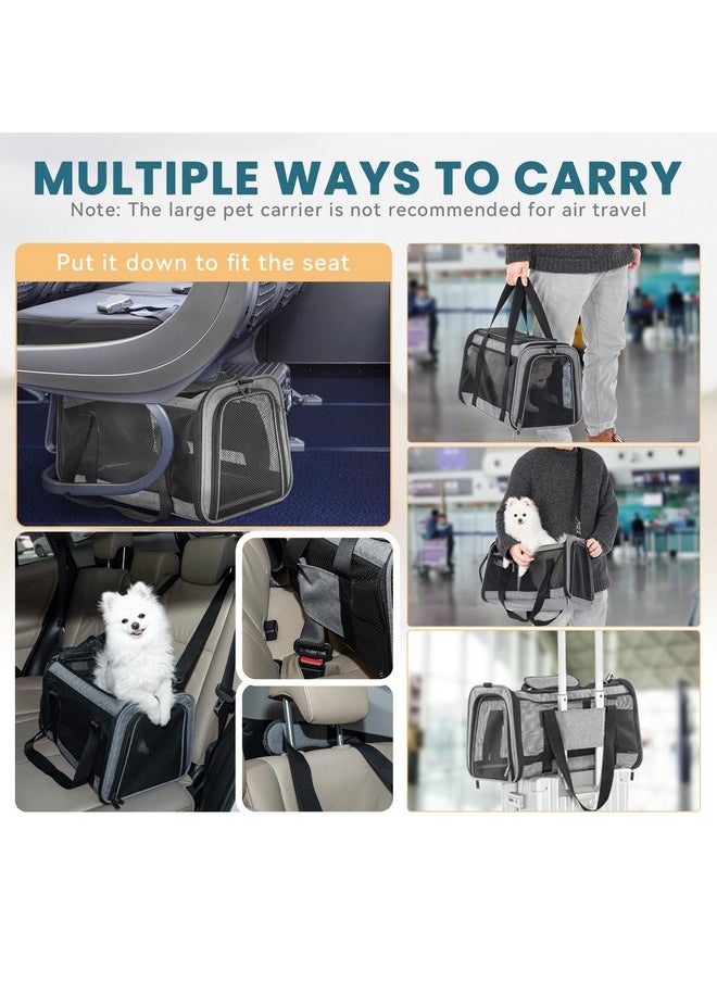 Petsfit Petsfit Cat Carrier Small Dog Carrier, Lightweight Portable Soft Pet Carrier for Large and Medium Cats, 5-Sided Breathable Mesh, Escape Proof and Auto-Safe, Sturdy Structure  - Image 3