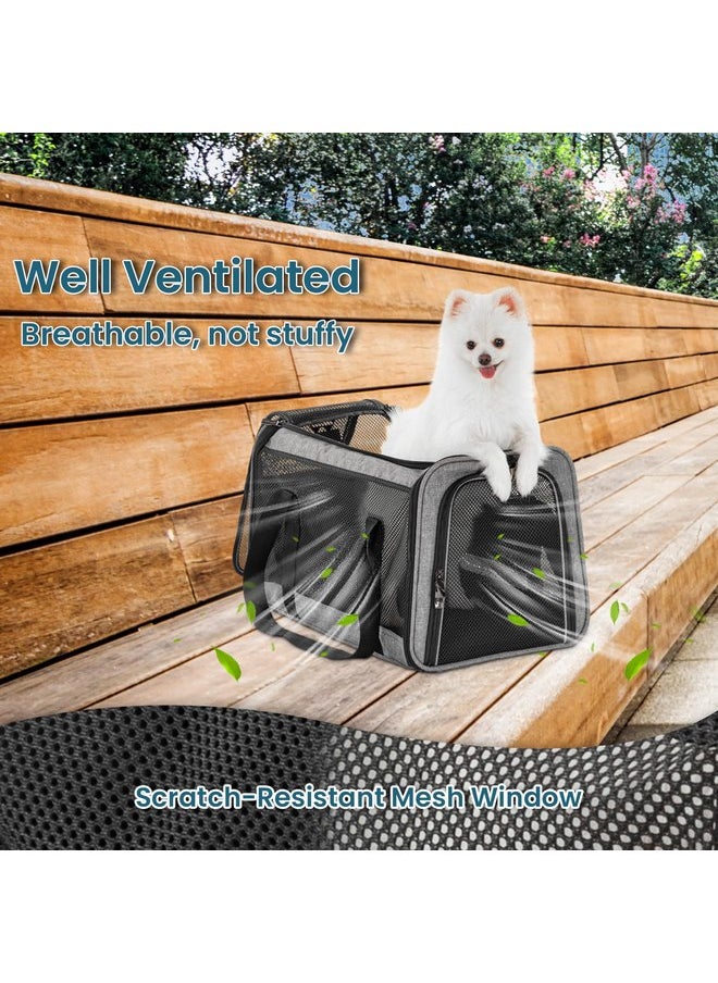Petsfit Petsfit Cat Carrier Small Dog Carrier, Lightweight Portable Soft Pet Carrier for Large and Medium Cats, 5-Sided Breathable Mesh, Escape Proof and Auto-Safe, Sturdy Structure  - Image 5