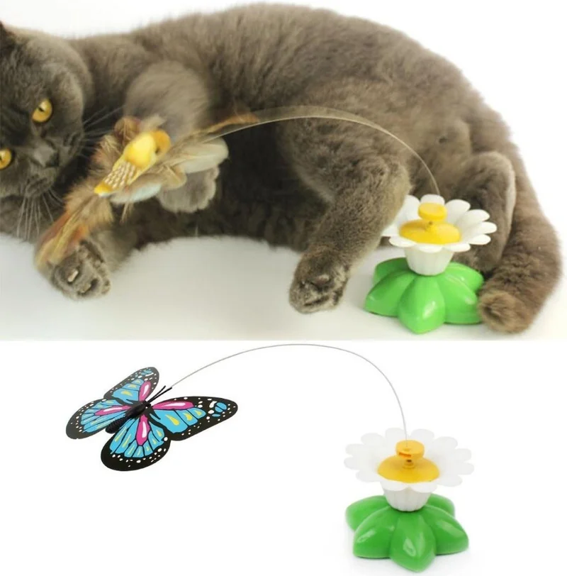 5 دي ام Animated Rotating Butterfly - Cat Toy (Battery Operated)