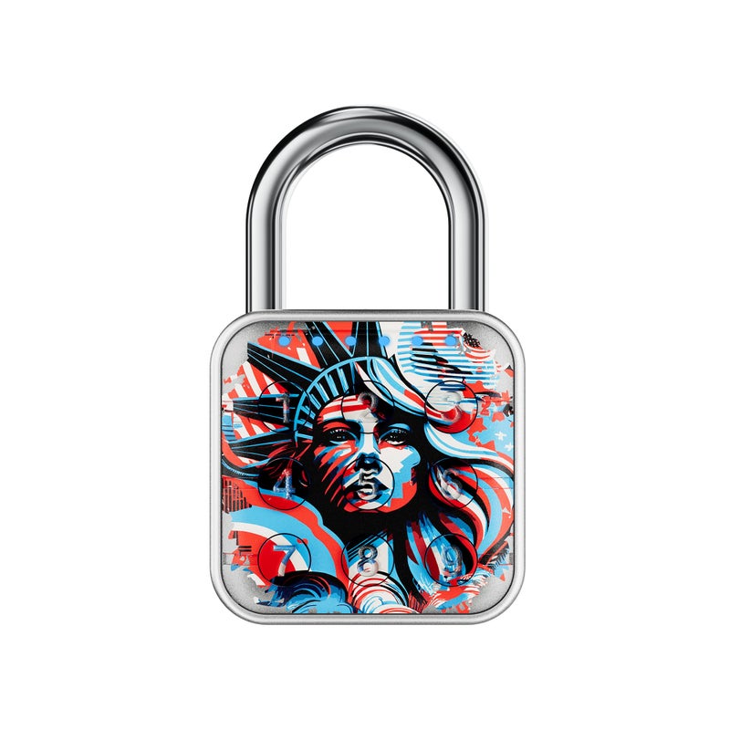 SURPN Combination Lock Combination Lock for Locker Locker Lock Gym Locker Lock High Security Easy to Use for Gym School Travel Outdoor Patriotic Liberty - Image 2