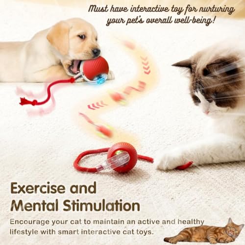 BUSZBO Interactive Rechargeable Smart Pet Chase Ball – Automatic Rolling Toy with Speedy Tail Rope for Bored Cats & Small Dogs (Colour May Vary) - Image 3