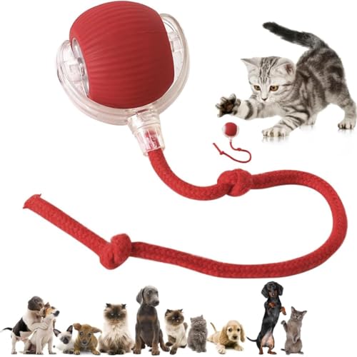 BUSZBO Interactive Rechargeable Smart Pet Chase Ball – Automatic Rolling Toy with Speedy Tail Rope for Bored Cats & Small Dogs (Colour May Vary) - Image 1