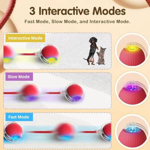 BUSZBO Interactive Rechargeable Smart Pet Chase Ball – Automatic Rolling Toy with Speedy Tail Rope for Bored Cats & Small Dogs (Colour May Vary) - Image 4