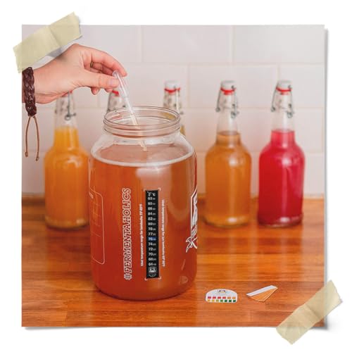 Fermentaholics Kombucha Instant Read pH Strips Dispenser - pH Range 0-6 - 15 ft Roll | 180 1" Inch Strips | Single Roll | Food Service, Brewing and Fermentation Test Strips - Image 3