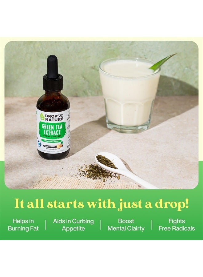 Drops of Nature مستخلص الشاي الأخضر - 1000 ملغ - 50% EGCG - قطرات سائلة من الشاي الأخضر، أقوى 4 مرات من الأقراص والكبسولات - 2 أونصة. مكمل مضاد للأكسدة وداعم للمناعة - دعم للبشرة والقلب + تعزيز صحة الدماغ والذاكرة - Image 3
