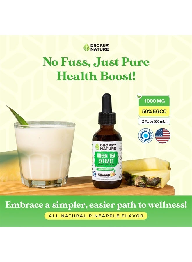 Drops of Nature مستخلص الشاي الأخضر - 1000 ملغ - 50% EGCG - قطرات سائلة من الشاي الأخضر، أقوى 4 مرات من الأقراص والكبسولات - 2 أونصة. مكمل مضاد للأكسدة وداعم للمناعة - دعم للبشرة والقلب + تعزيز صحة الدماغ والذاكرة - Image 2