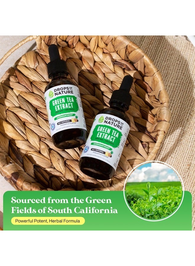 Drops of Nature مستخلص الشاي الأخضر - 1000 ملغ - 50% EGCG - قطرات سائلة من الشاي الأخضر، أقوى 4 مرات من الأقراص والكبسولات - 2 أونصة. مكمل مضاد للأكسدة وداعم للمناعة - دعم للبشرة والقلب + تعزيز صحة الدماغ والذاكرة - Image 5