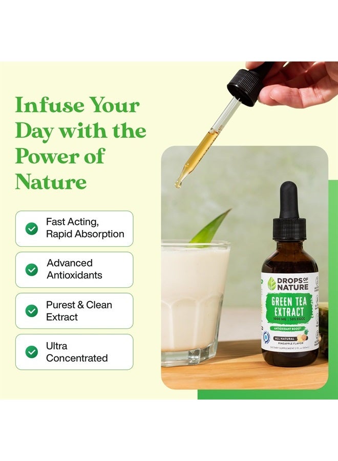 Drops of Nature مستخلص الشاي الأخضر - 1000 ملغ - 50% EGCG - قطرات سائلة من الشاي الأخضر، أقوى 4 مرات من الأقراص والكبسولات - 2 أونصة. مكمل مضاد للأكسدة وداعم للمناعة - دعم للبشرة والقلب + تعزيز صحة الدماغ والذاكرة - Image 4