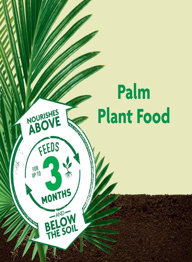 ميركل-جرو سماد Miracle-Gro Shake 'N Feed لنباتات النخيل، 4.5 رطل، يكفي حتى عمر 3 أشهر - Image 2