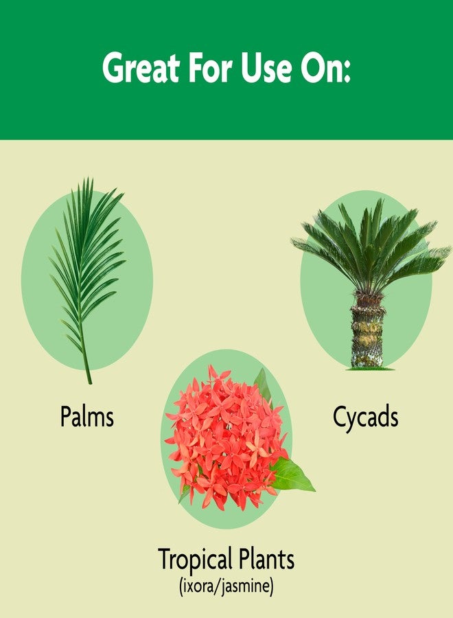 ميركل-جرو سماد Miracle-Gro Shake 'N Feed لنباتات النخيل، 4.5 رطل، يكفي حتى عمر 3 أشهر - Image 4