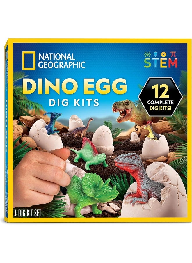 NATIONAL GEOGRAPHIC National Geographic Dino Egg Dig Kits (Pack of 12 Eggs)  - Image 1