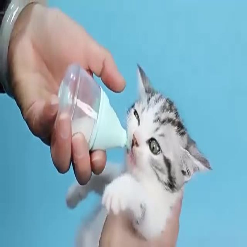 Daily necessities pet feeding bottle kitten rabbit puppy kitten feeder water feeder - Image 1