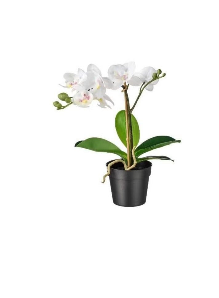 Generic Artificial plant in an orchid pot, white, size 9 cm  - Image 1
