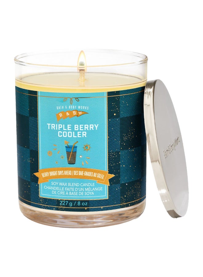 Bath & Body Works Triple Berry Cooler Single Wick Candle 