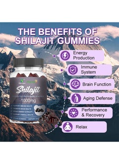 Wins Town Daynee Shilajit: The Natural Choice for Boosting Immunity, Anti-Aging, and Enhancing Vitality  - Image 2