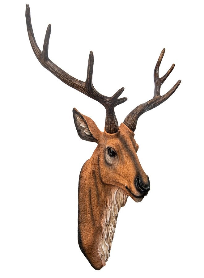 Kongkee Faux Deer Head Wall Mount – Resin Deer Head Wall Decor, Animal Head Wall Sculpture for Rustic, Farmhouse & Western Room Decor (Brown) - Image 1