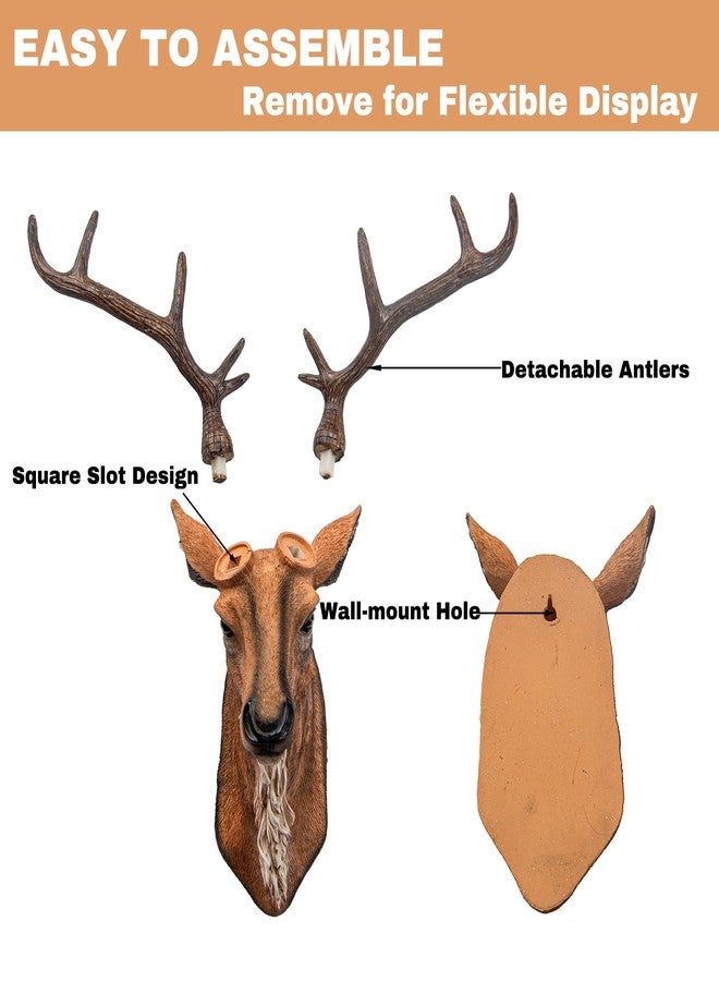 Kongkee Faux Deer Head Wall Mount – Resin Deer Head Wall Decor, Animal Head Wall Sculpture for Rustic, Farmhouse & Western Room Decor (Brown) - Image 5