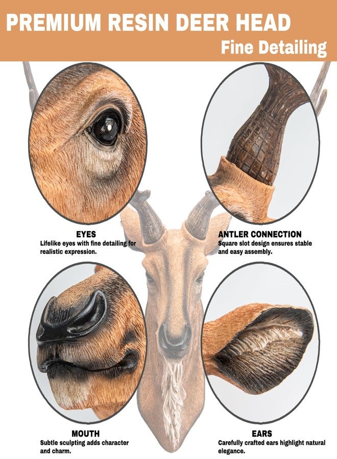 Kongkee Faux Deer Head Wall Mount – Resin Deer Head Wall Decor, Animal Head Wall Sculpture for Rustic, Farmhouse & Western Room Decor (Brown) - Image 3
