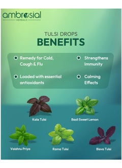 ambrosial Tulsi Drops Concentrated Extract Of 5 Rare Tulsi High Strength Ark Drops 100% Natural Immunity Booster Relieves Cough And Cold 30 Ml  - Image 3