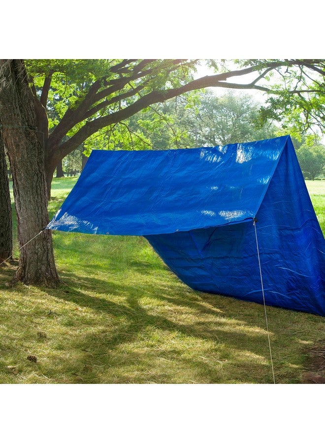 نايت آيز مشد حبل كام جام من نايت إيزي - مشد حبل للربط مع مشبك حلقة تثبيت - مشد حبل خفيف الوزن متعدد الاستخدامات لإكسسوارات التخييم ومعدات المشي لمسافات طويلة - عبوة من 4 قطع - Image 5