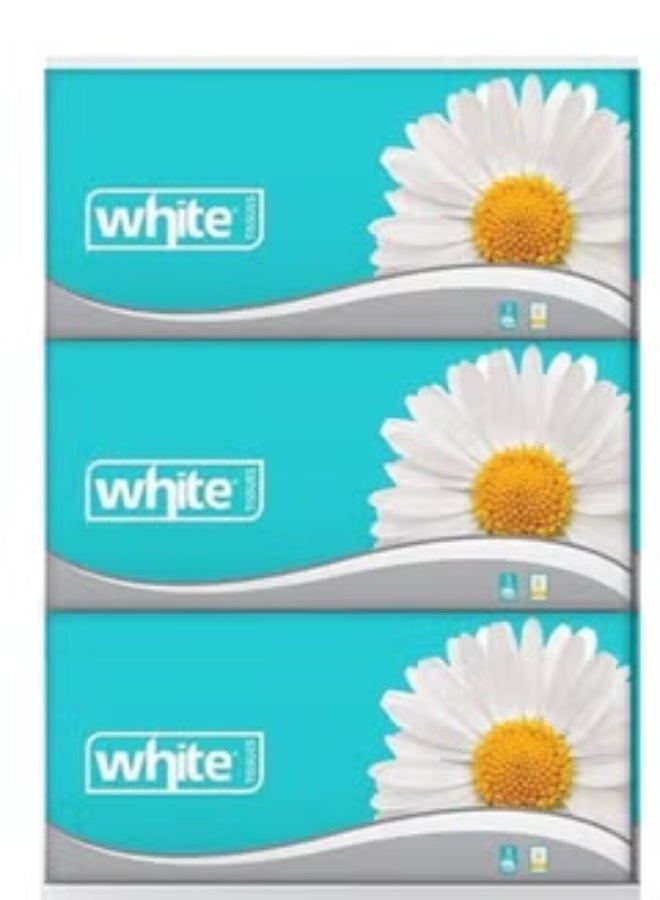 White Facial Tissues 500 Tissue Pack of 3  (May vary package)