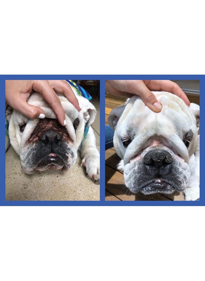 Squishface - Wrinkle Paste - Bulldog, French Bulldog, Pug, English Bulldog - Cleans Wrinkles, Tear Stain, Tail Pockets, And Paws - Anti-Itch Tear Stain Remover & Bulldog Wrinkle Cream, 2 Oz. - Image 1