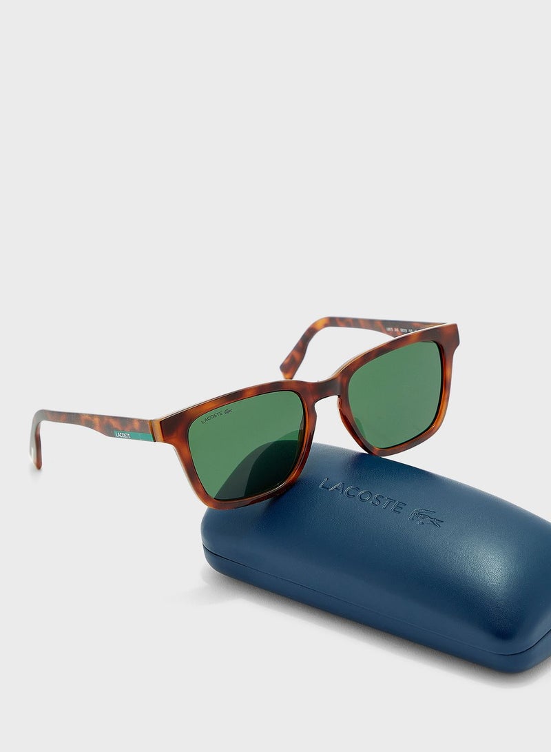 لاكوست نظارة شمسية - Image 4