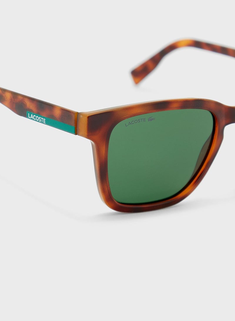 لاكوست نظارة شمسية - Image 3