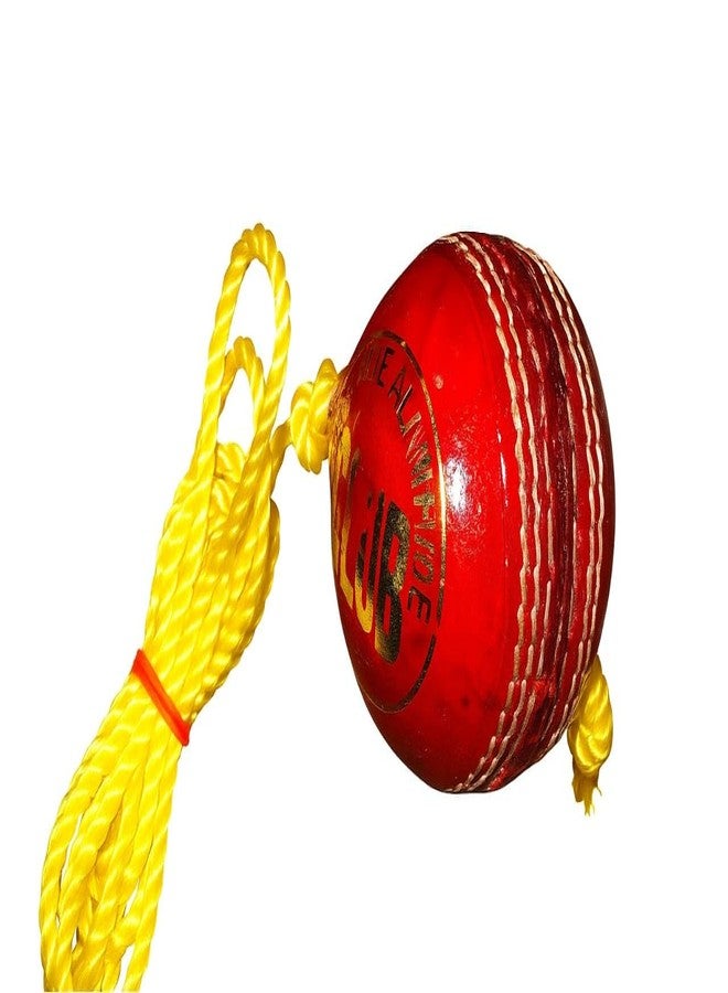 AARMAX Leather Cricket Shot Practice Hanging Ball, String Cricket Ball and Knocking Cricket Ball with Rope (Multi-Color) (Pack of 1) - Image 3