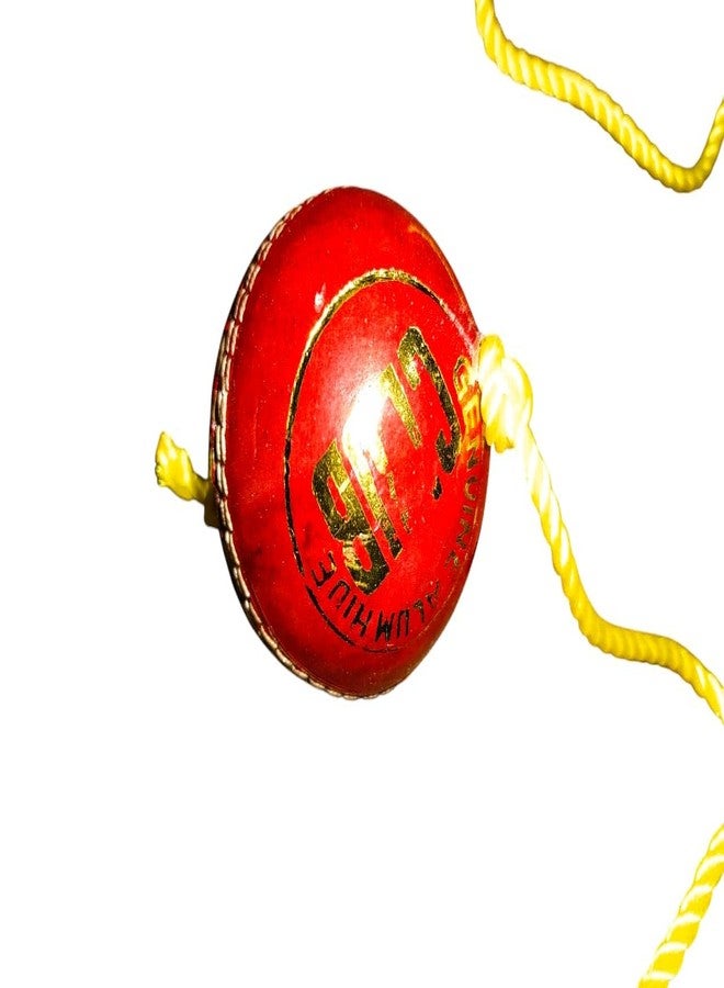 AARMAX Leather Cricket Shot Practice Hanging Ball, String Cricket Ball and Knocking Cricket Ball with Rope (Multi-Color) (Pack of 1) - Image 4
