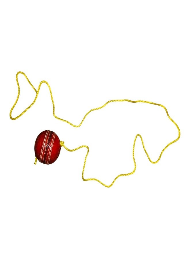 AARMAX Leather Cricket Shot Practice Hanging Ball, String Cricket Ball and Knocking Cricket Ball with Rope (Multi-Color) (Pack of 1) - Image 5