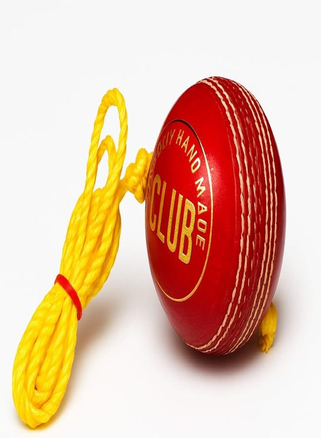 AARMAX Leather Cricket Shot Practice Hanging Ball, String Cricket Ball and Knocking Cricket Ball with Rope (Multi-Color) (Pack of 1) - Image 1