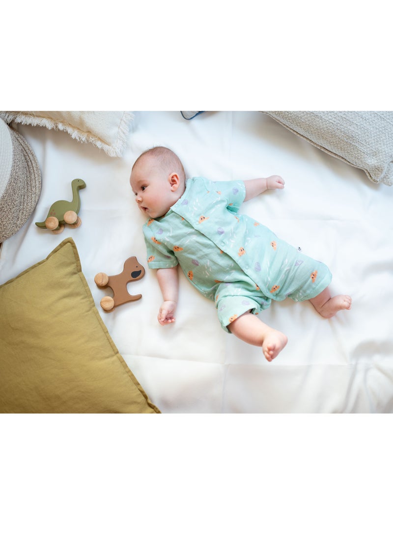 بيرتش آند باغز ألعاب الحيوانات الدوارة - لعبة دينو الخشبية دينو، ألعاب خشبية طبيعية، ألعاب سحب خشبية للأطفال الصغار - Image 5