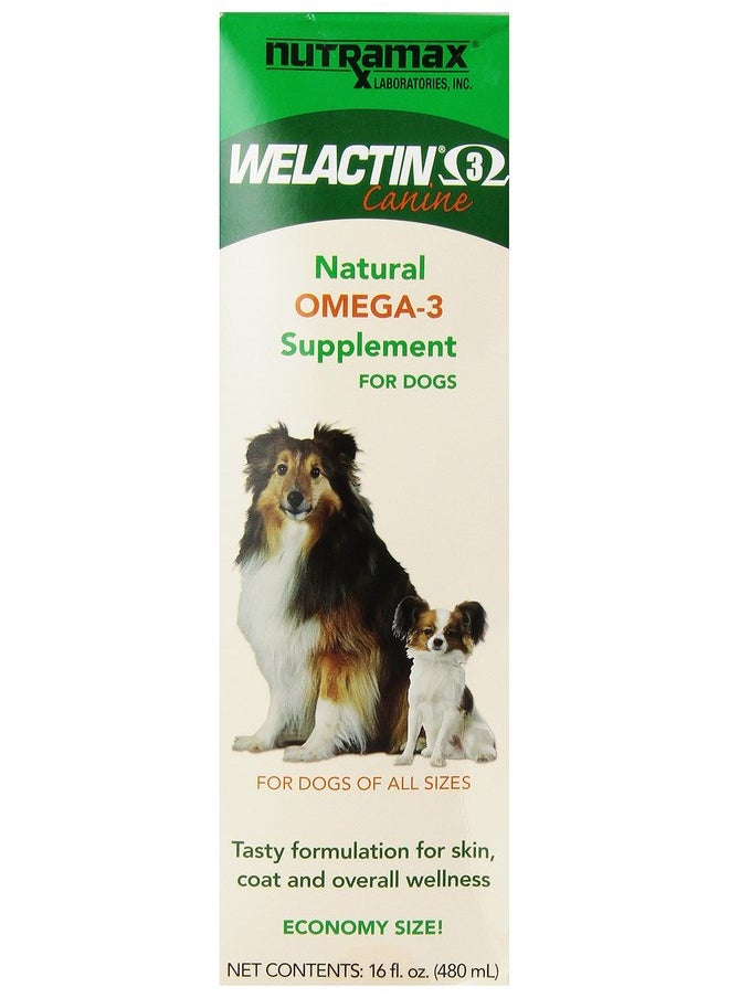 Nutramax Laboratories Nutramax Welactin Omega-3 Fish Oil Skin and Coat Health Supplement Liquid for Dogs - 16 Ounce 3 Pack  - Image 1