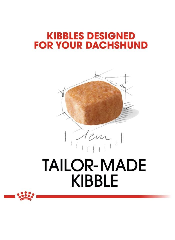 ROYAL CANIN Breed Health Nutrition Dachshund Puppy 1.5 KG - Image 2