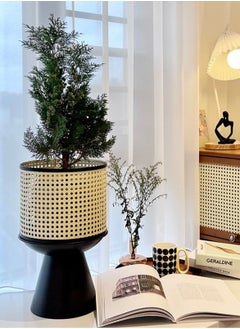 Merry Moments Rattan Imitation Weaving Planter Stand Plant Holder Flower Stand Plant Pot Holder Metal Black Sand Colour with Containers for Indoor and Outdoor Plant 1 Pcs L25xH41xW25  - Image 1