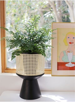 Merry Moments Rattan Imitation Weaving Planter Stand Plant Holder Flower Stand Plant Pot Holder Metal Black Sand Colour with Containers for Indoor and Outdoor Plant 1 Pcs L25xH41xW25  - Image 2