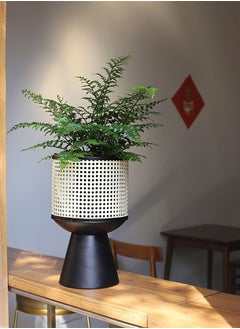Merry Moments Rattan Imitation Weaving Planter Stand Plant Holder Flower Stand Plant Pot Holder Metal Black Sand Colour with Containers for Indoor and Outdoor Plant 1 Pcs L25xH41xW25  - Image 3