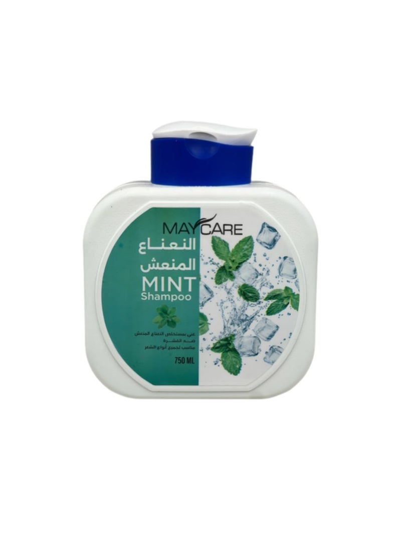 Refreshing Mint Shampoo - 750ml