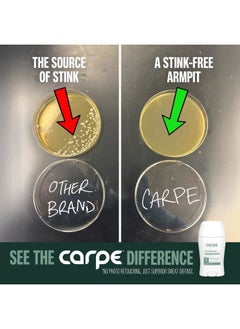 Carpe Underarm Antiperspirant and Deodorant, Clinical strength with all-natural Eucalyptus scent, Combat excessive sweating, Stay fresh and dry, Great for hyperhidrosis  - Image 3