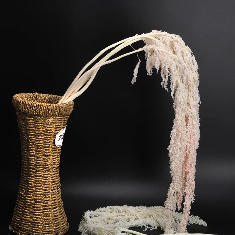Bluejw High Quality Natural Dried Amaranth Preserved Flowers – Long-Lasting Dried Plants for Wedding Decor, Hanging Amaranthus Bouquets & Rustic Home Arrangements - Image 1