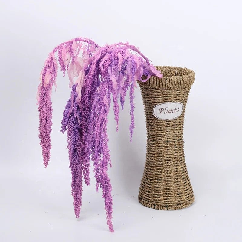 Bluejw High Quality Natural Dried Amaranth Preserved Flowers – Long-Lasting Dried Plants for Wedding Decor, Hanging Amaranthus Bouquets & Rustic Home Arrangements - Image 4