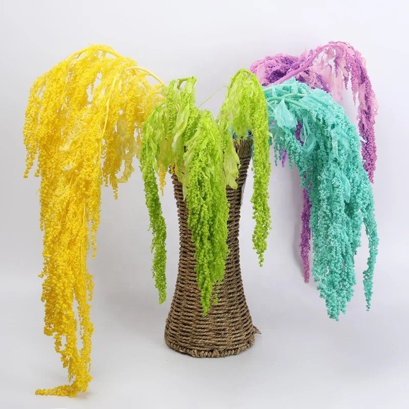 Bluejw High Quality Natural Dried Amaranth Preserved Flowers – Long-Lasting Dried Plants for Wedding Decor, Hanging Amaranthus Bouquets & Rustic Home Arrangements - Image 3