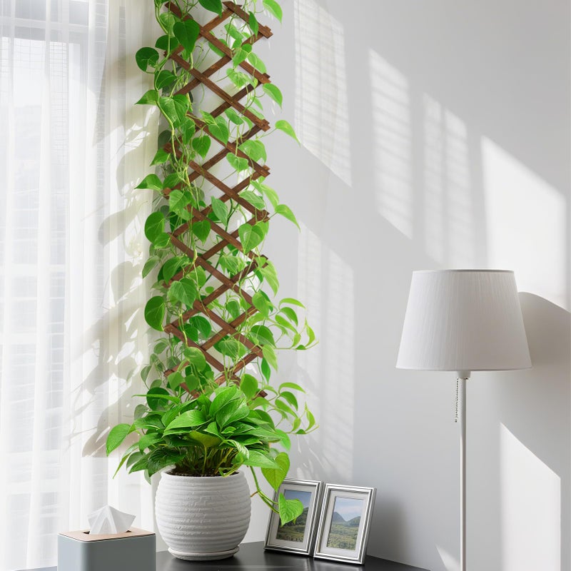 ANPHSIN Pack of 2 Extra Thick Wooden Wall Trellis- Expandable Wall Planter Lattice Panels for Climbing Plants, Hanging Vertical Plant Support Fence Frame Outdoor Indoor for Balcony Patio Garden Room - Image 4