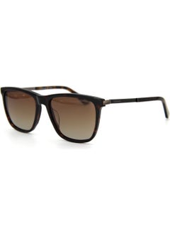 Osse 3128 02 Unisex Sunglasses  - Image 1