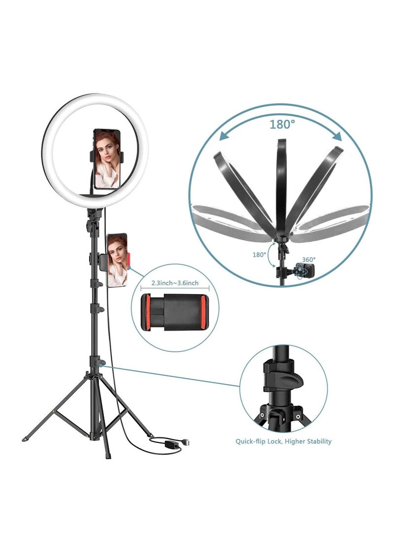 TYCOM - TyCom 10 inch Selfie Ring Light with Tripod Stand, USB Selfie Ring Light for Live Stream/Makeup/YouTube/TikTok Video Recording/Photography - Image 1