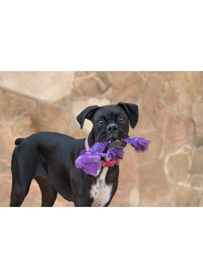 Multipet Rope Body Loofa 6" Dog Toy - Image 2